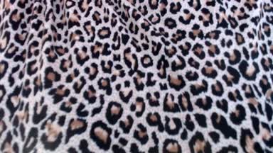 Leopard dress