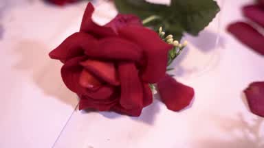 discover the pleasure in my soul and body