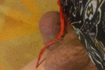 joi, cei, pain, humillation, femdom, sissy, cbt, bdms, feet, strapon — LITTLE BITCH