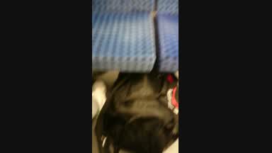 Train wank
