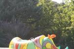Pool Day
