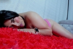photo collection