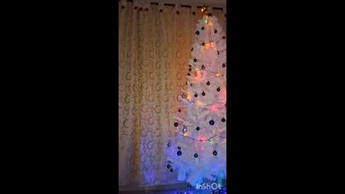 MERRY CHRISTMAS  🥳🎁🌟🎄