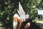 Forest Fairy*-*