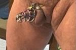 Chastity Cage