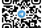 Telegram Channel