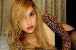Reyshell