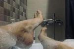 my feet are in foam