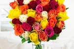 Anna's Favourite Flowers