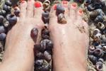 miranda — FEET HEELS PEDICURE MANICURE