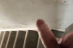 Hard cock
