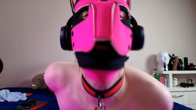Pink puppy tongue plays with a lollipop