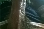 slayerbat90 live Chaturbate webcam gallery thumbnail
