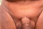 shaved