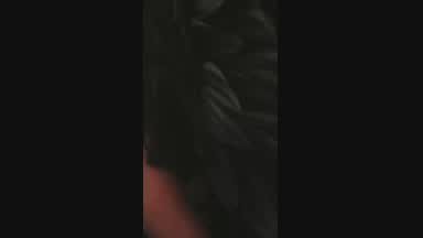 angel