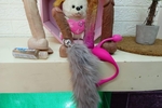 caroliina_giiraldo's toys
