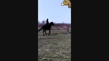 Im ride you