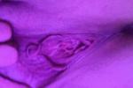 Juicy pussy