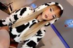 sexy cow