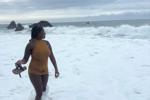 Wild and Free