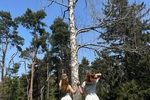 Walk in the woods