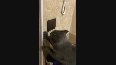 Do I have my own electrician?)