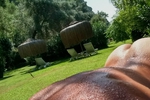 girasol66 live Chaturbate webcam gallery thumbnail