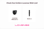 MY LOVENSE WISH LIST