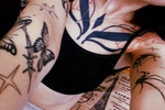 aesthetis
