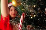 Christmas vibe