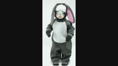 bunny