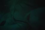 Who