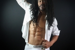 semental en camisa