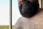 THE NIPPLES