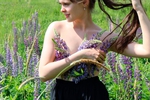 summer flowers
