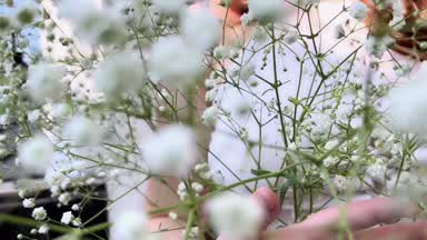 Your lovely Daisy