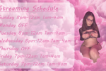 My Schedule