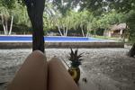 🏝️