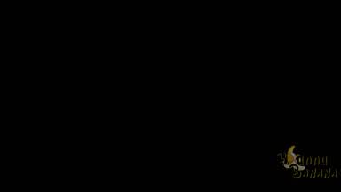 Dildo DP