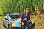 forest