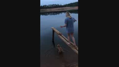 Adventure time with my dog