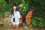 my trip to Mexico