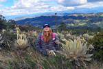 Paramo