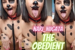 The Obedient Puppy!