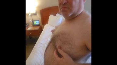 A Bear Romp On A California Bed