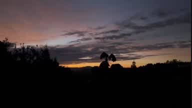 despertar