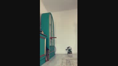 blowjob, fuck with door