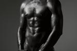 ebnoy muscle