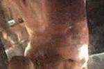 hotalexsander17 โ alexsander37