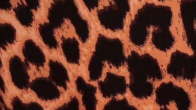 cloudmew โ Leopard print your favorite